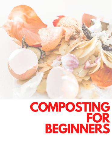 composting for beginners