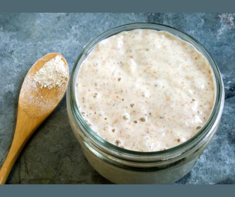 sourdough starter