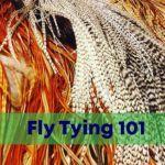 fly fishing 101