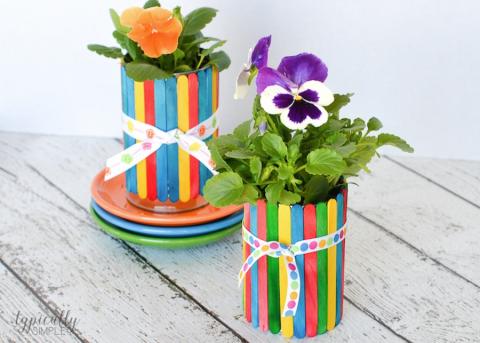 Craft Stick Flower Pot