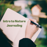 nature journaling