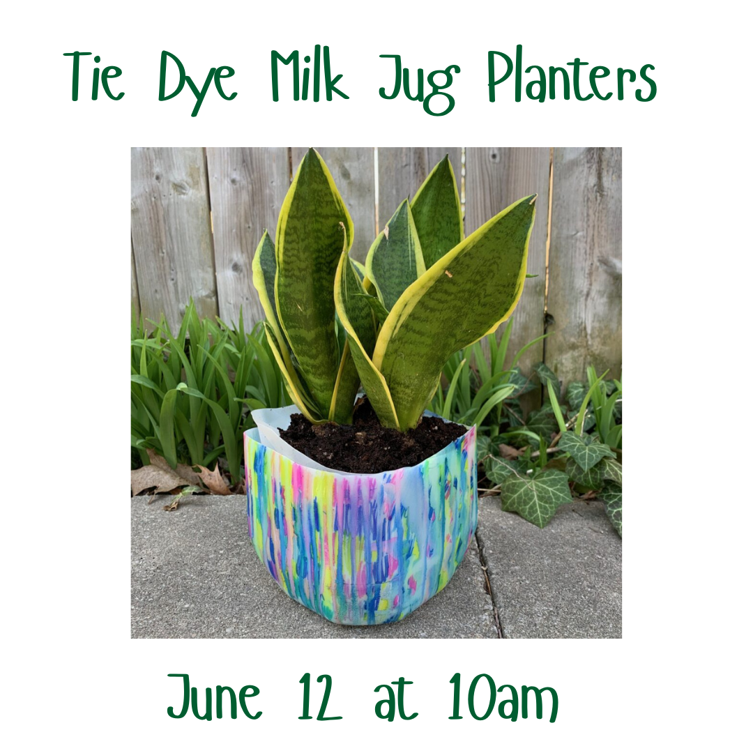 Milk jug planters