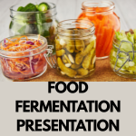 food fermentation